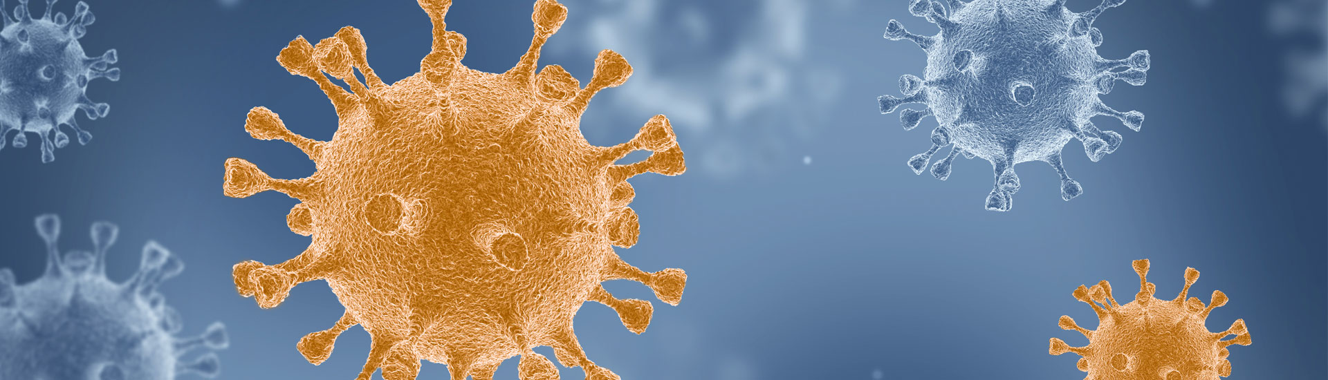 Corona virus