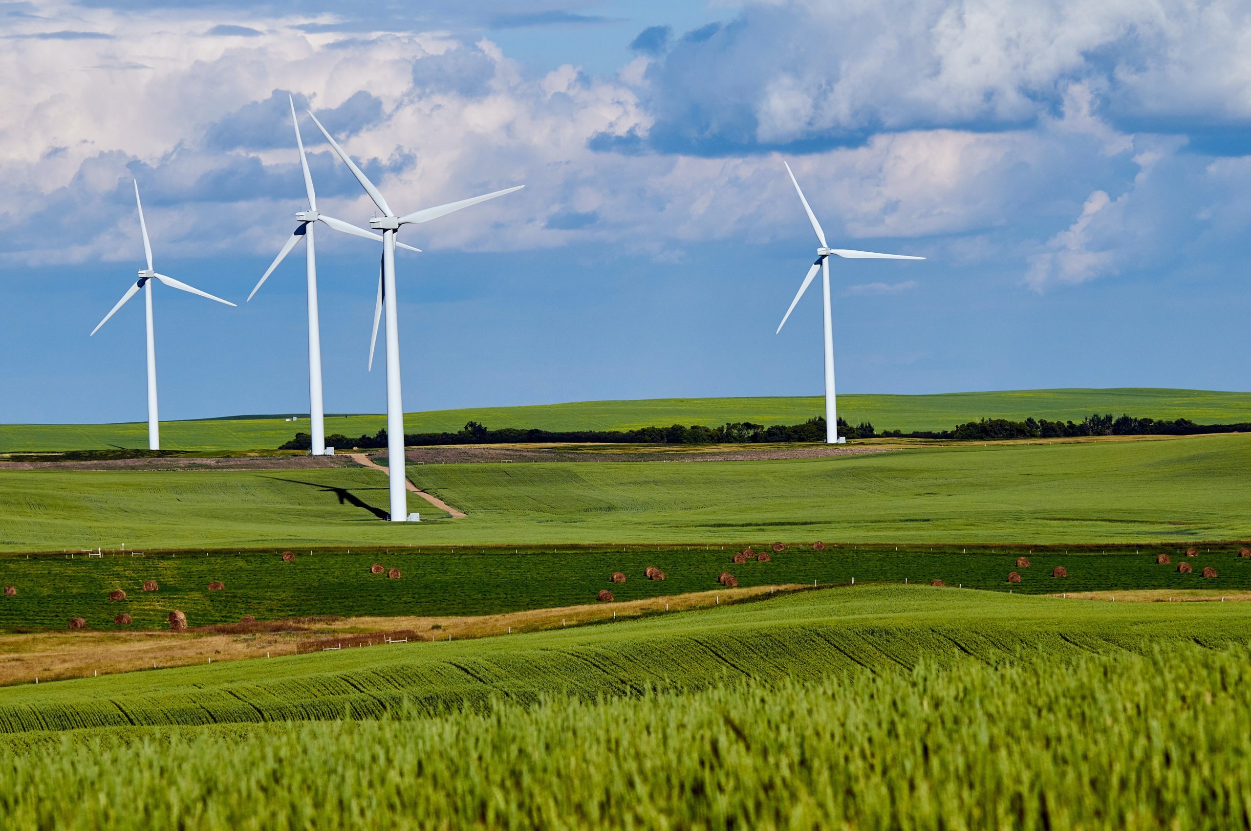 Windmolens In Groen Landschap